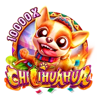 CHILIHUAHUA - ATHENA777