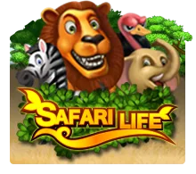 Safari Life - ATHENA777