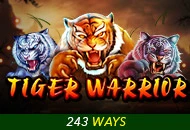 Tiger Warrior - ATHENA777