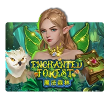 Enchanted Forest - ATHENA777